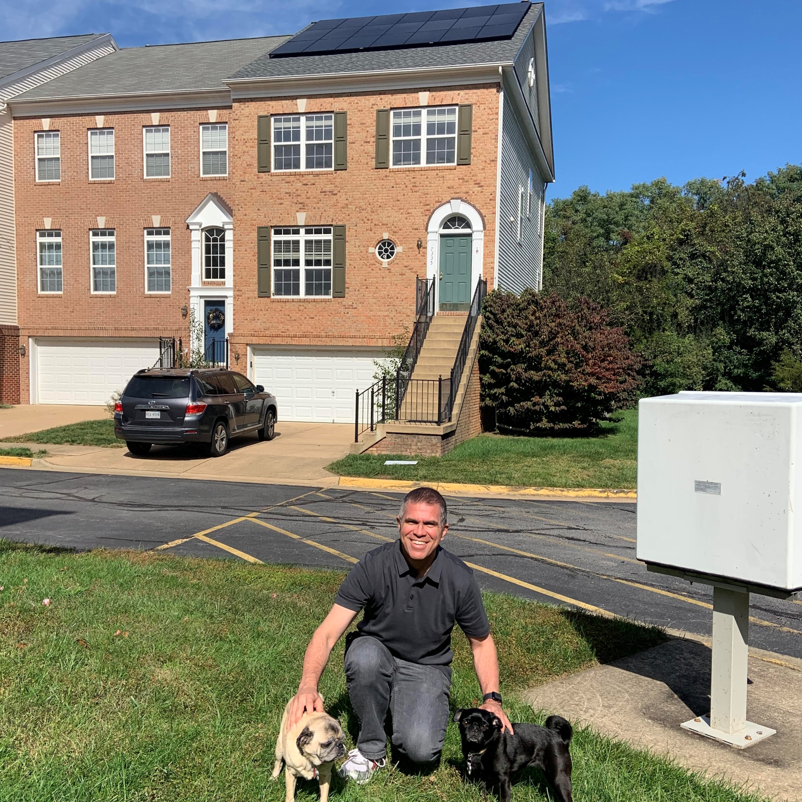 Doggies and solar square